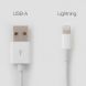 Apple Original Lightning to USB Cable MD818ZM-A